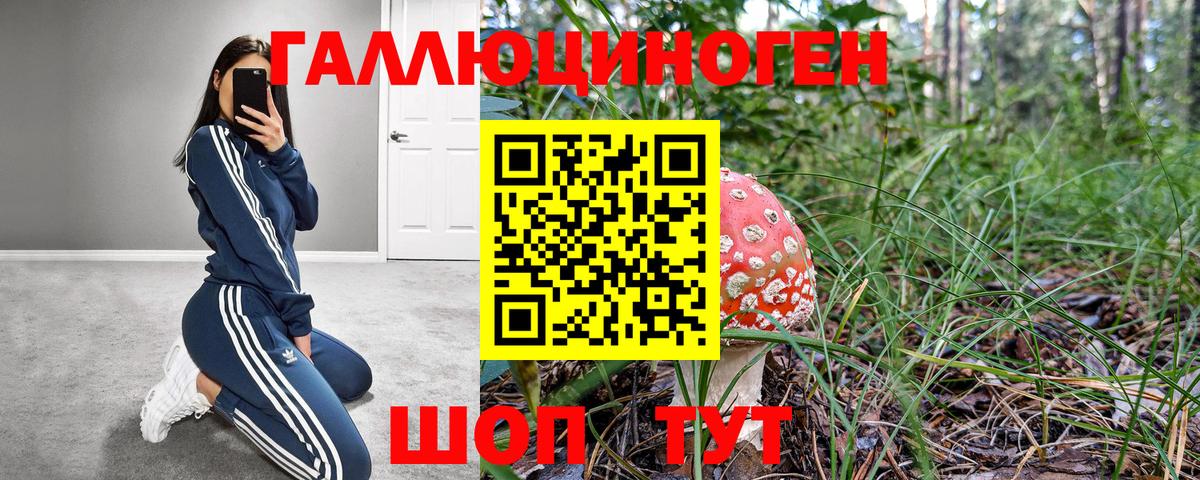 Псилоцибиновые грибы GOLDEN TEACHER Озёры